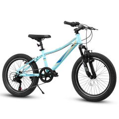S20101 20-Inch Kids Mountain Bike 7-Speed