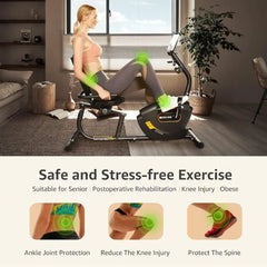 Recumbent Exercise Bike Indoor Magnetic Cycling Fitness Equipment