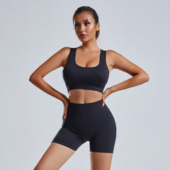 Women's Seamless Yoga Set Vest Shorts Workout Suit